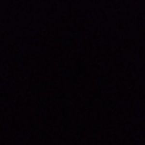 Meet your Posher, Riley